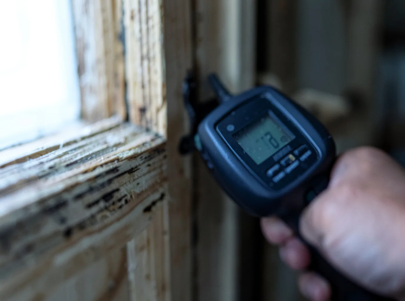 Moisture Inspection And Documentation in Maple, NC